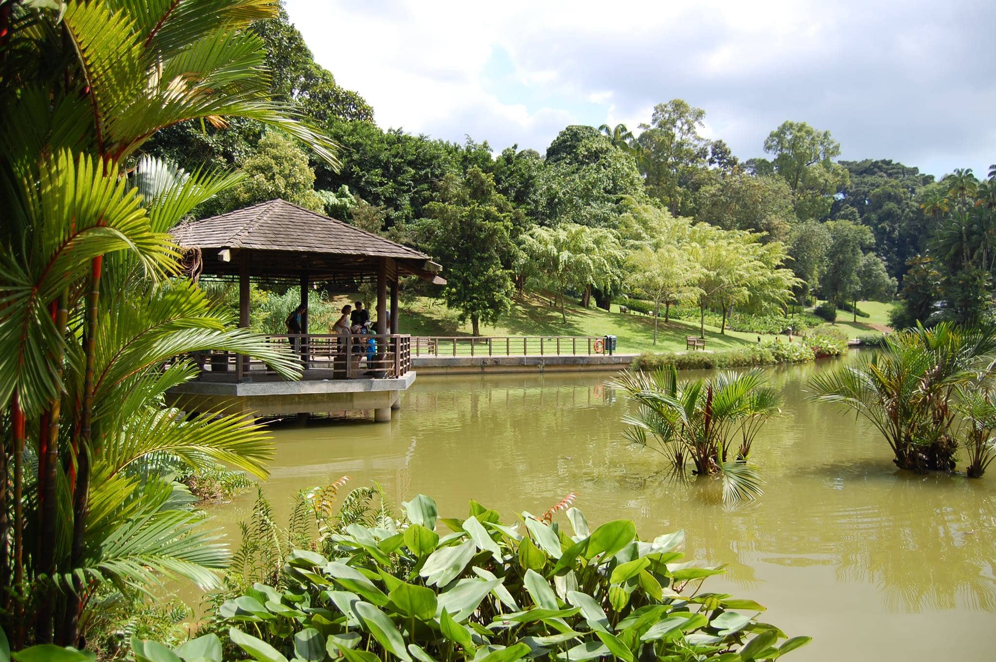 Travel Singapore. Botanic Gardens