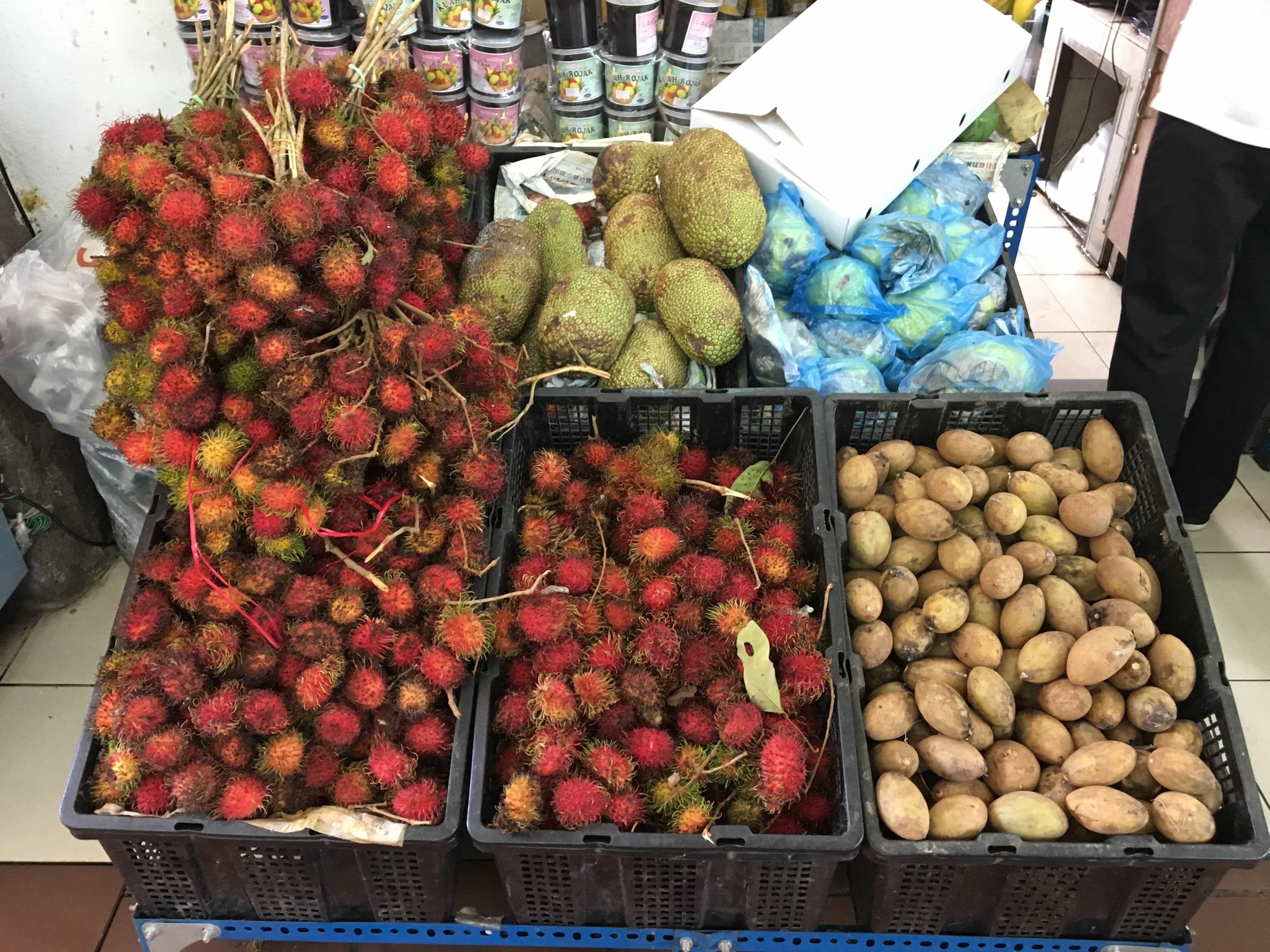 Fruits visiting historical Penang