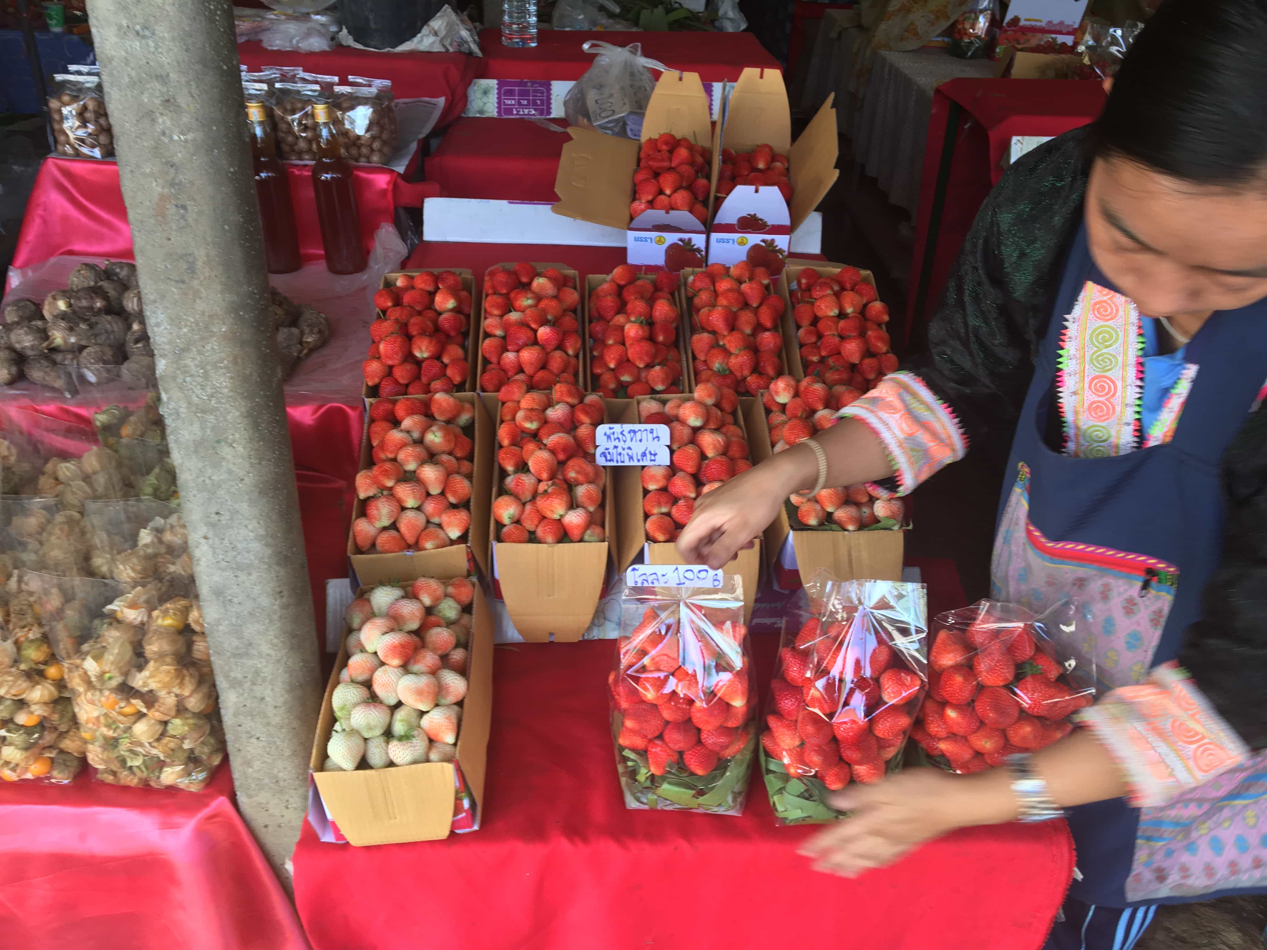 Delicious and very sweet, fresh strawberries sold at Chiang Mai markets.